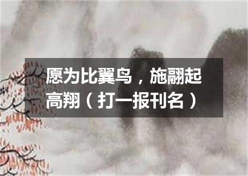 愿为比翼鸟，施翮起高翔（打一报刊名）