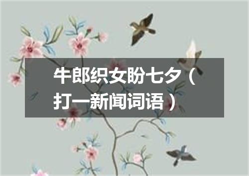 牛郎织女盼七夕（打一新闻词语）