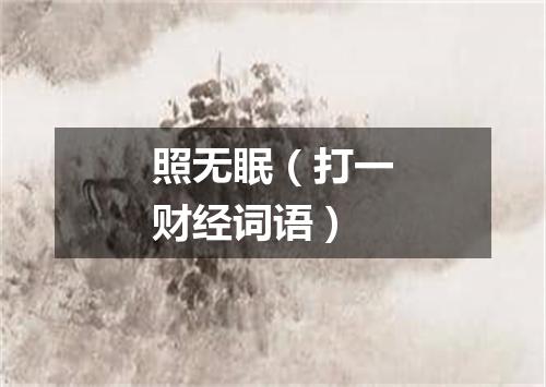 照无眠（打一财经词语）