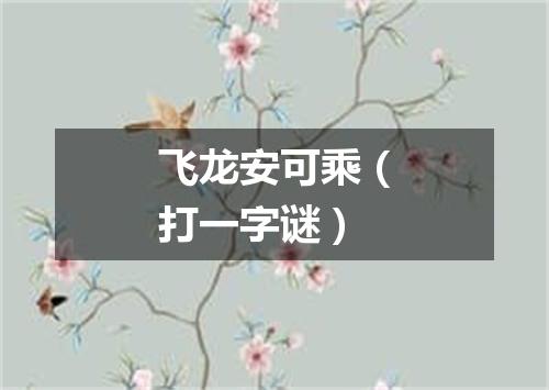 飞龙安可乘（打一字谜）