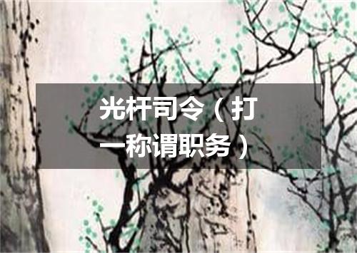 光杆司令（打一称谓职务）