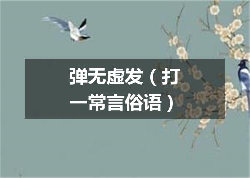 弹无虚发（打一常言俗语）
