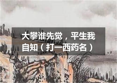 大攀谁先觉，平生我自知（打一西药名）