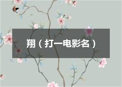 翔（打一电影名）