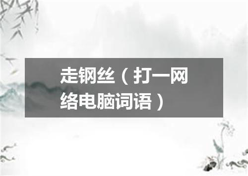 走钢丝（打一网络电脑词语）