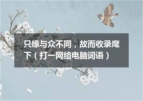只缘与众不同，故而收录麾下（打一网络电脑词语）