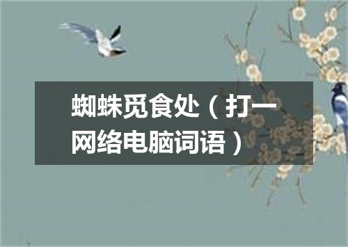 蜘蛛觅食处（打一网络电脑词语）