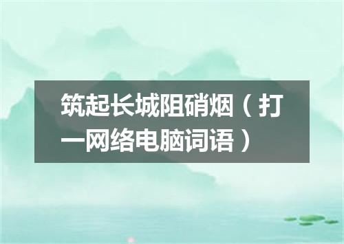 筑起长城阻硝烟（打一网络电脑词语）