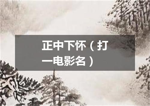 正中下怀（打一电影名）