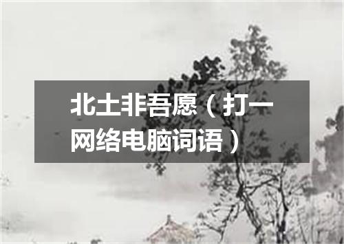 北土非吾愿（打一网络电脑词语）