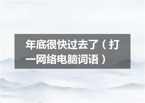 年底很快过去了（打一网络电脑词语）