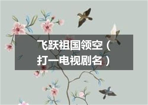飞跃祖国领空（打一电视剧名）