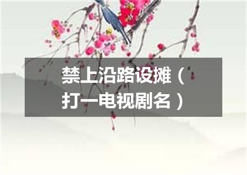 禁上沿路设摊（打一电视剧名）
