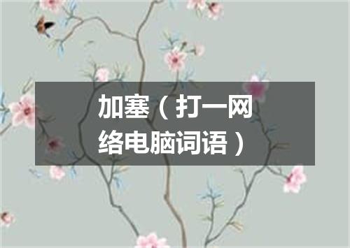 加塞（打一网络电脑词语）
