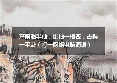 产前遇半仙，倒抽一根签，占得一平卦（打一网络电脑词语）