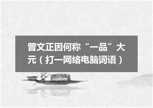 曾文正因何称“一品”大元（打一网络电脑词语）