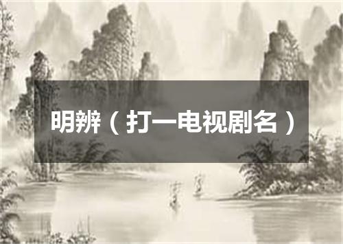 明辨（打一电视剧名）