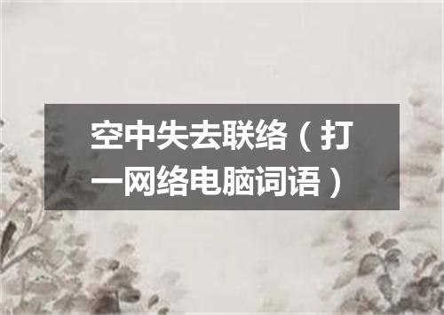 空中失去联络（打一网络电脑词语）