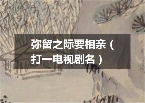 弥留之际要相亲（打一电视剧名）