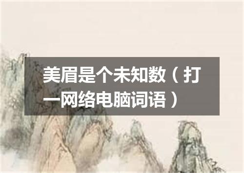 美眉是个未知数（打一网络电脑词语）