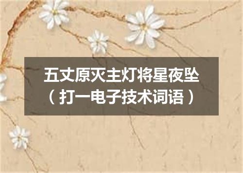 五丈原灭主灯将星夜坠（打一电子技术词语）