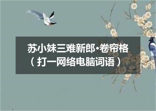 苏小妹三难新郎·卷帘格（打一网络电脑词语）