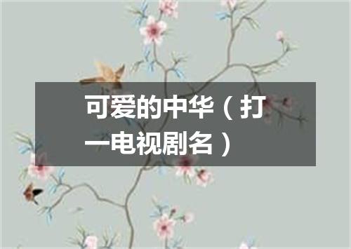 可爱的中华（打一电视剧名）