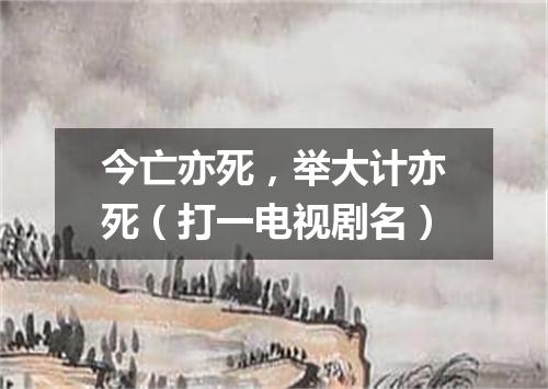 今亡亦死，举大计亦死（打一电视剧名）
