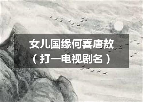 女儿国缘何喜唐敖（打一电视剧名）