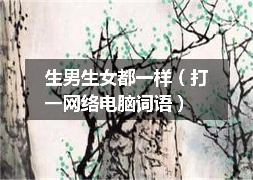 生男生女都一样（打一网络电脑词语）