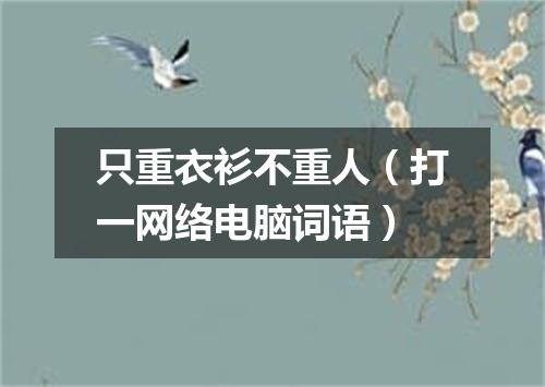 只重衣衫不重人（打一网络电脑词语）