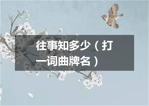 往事知多少（打一词曲牌名）