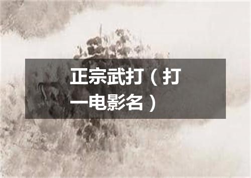 正宗武打（打一电影名）