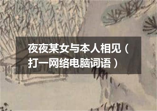 夜夜某女与本人相见（打一网络电脑词语）