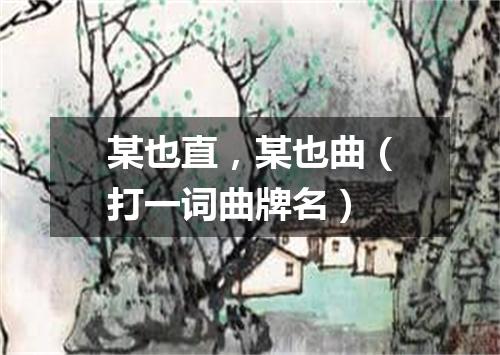 某也直，某也曲（打一词曲牌名）