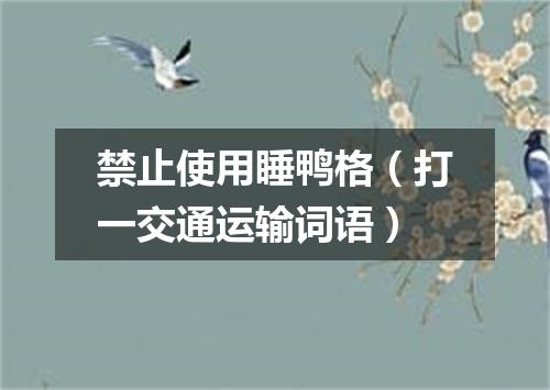禁止使用睡鸭格（打一交通运输词语）