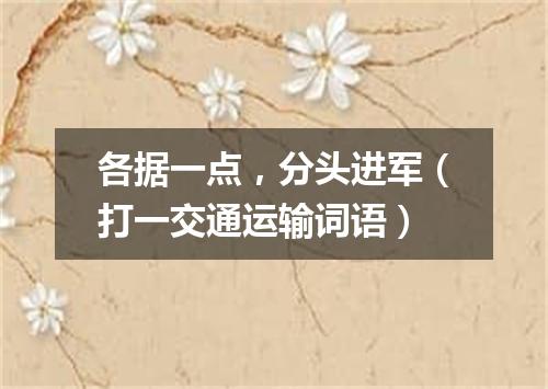 各据一点，分头进军（打一交通运输词语）