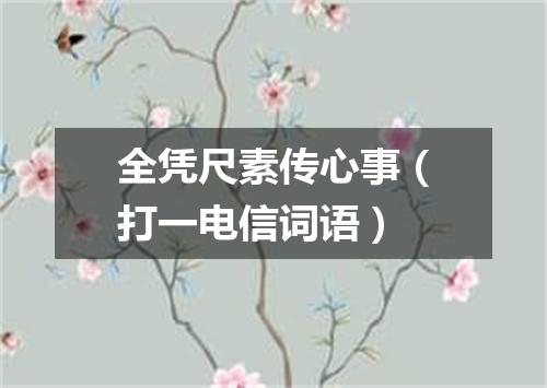 全凭尺素传心事（打一电信词语）