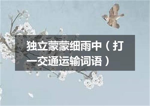 独立蒙蒙细雨中（打一交通运输词语）