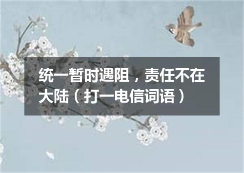 统一暂时遇阻，责任不在大陆（打一电信词语）