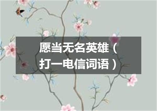 愿当无名英雄（打一电信词语）