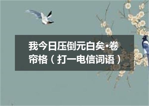 我今日压倒元白矣·卷帘格（打一电信词语）