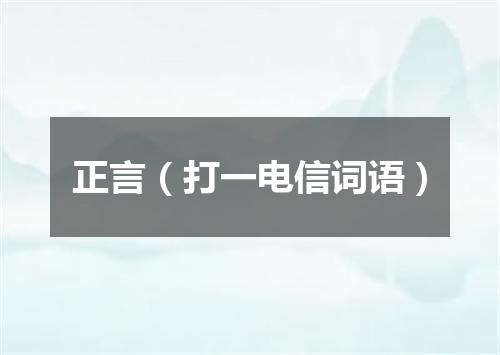 正言（打一电信词语）