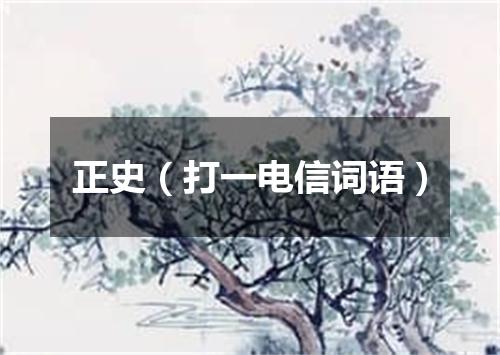 正史（打一电信词语）