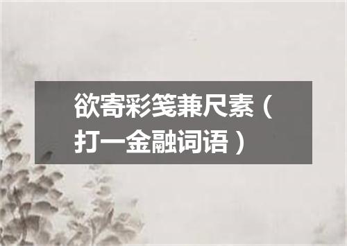 欲寄彩笺兼尺素（打一金融词语）