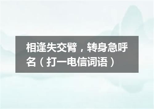 相逢失交臂，转身急呼名（打一电信词语）