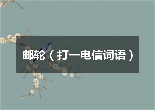 邮轮（打一电信词语）