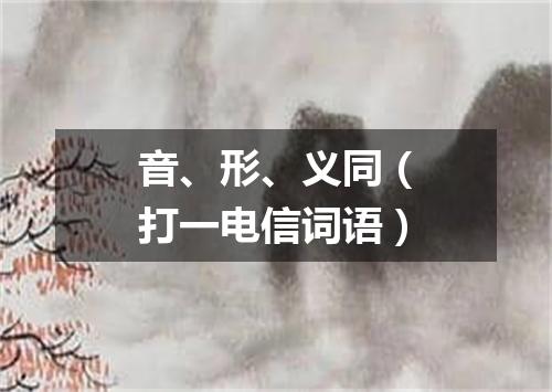 音、形、义同（打一电信词语）