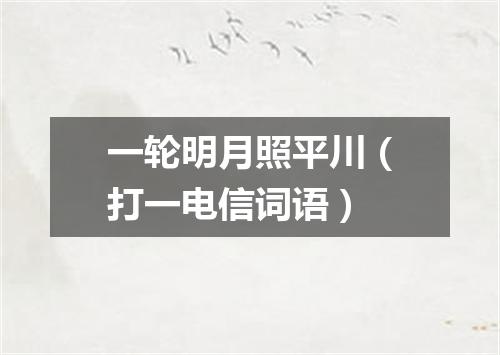 一轮明月照平川（打一电信词语）