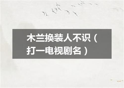 木兰换装人不识（打一电视剧名）